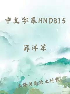 中文字幕HND815